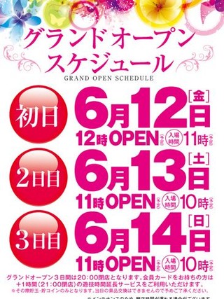 スケジュール