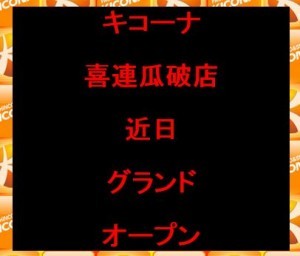 キコーナp登録